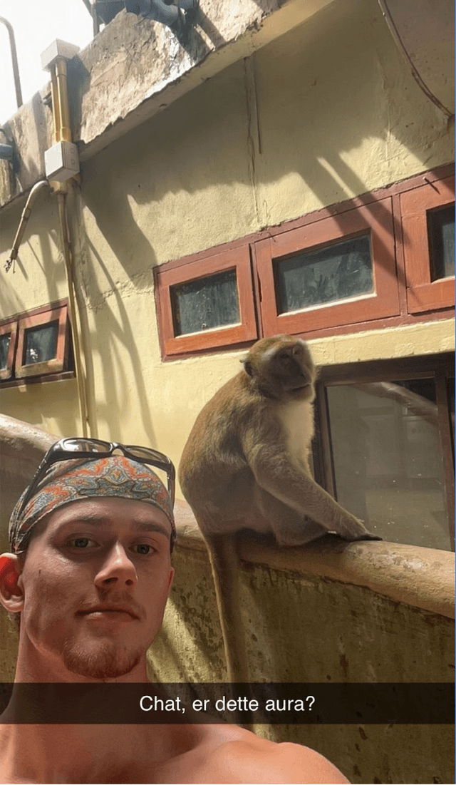 Eirik Vikan Trettenes personal